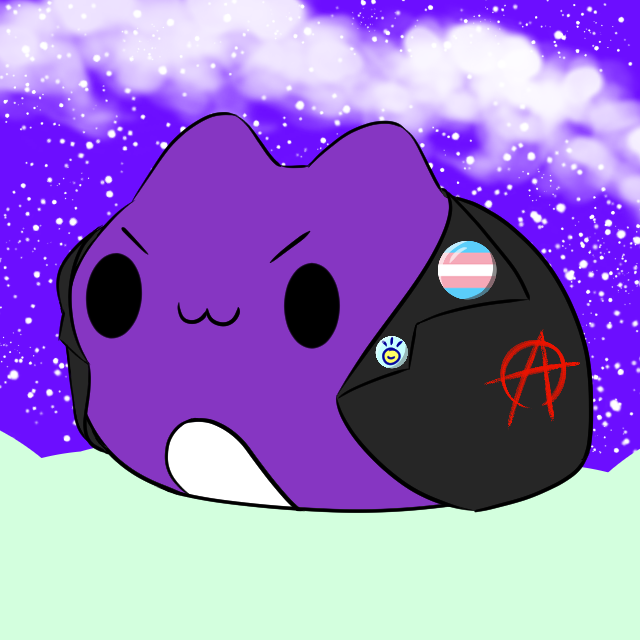 A purple round blob cat with a black patch jacket on, featuring a trans flag pin, a Toki Pona pin, and a large red anarchy symbol.